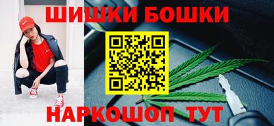 молекула духа Будённовск