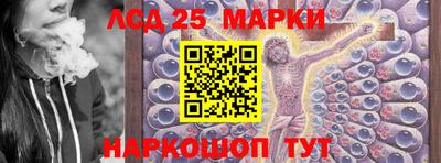 молекула духа Будённовск