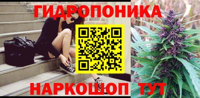 молекула духа Будённовск