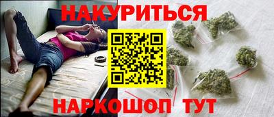 молекула духа Будённовск