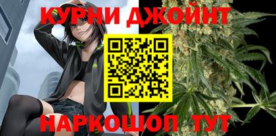 молекула духа Будённовск