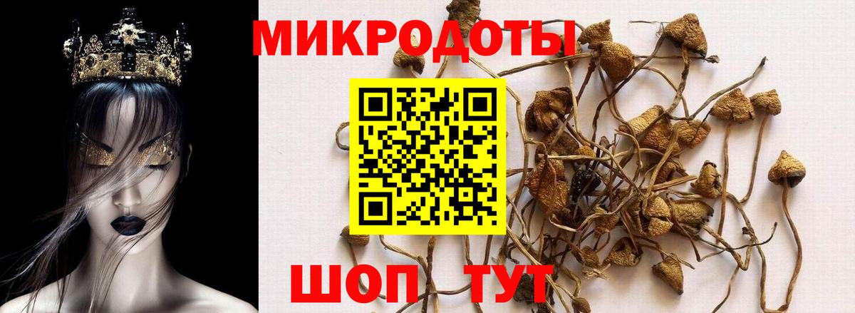 Галлюциногенные грибы Psilocybine cubensis  Вход с VPN  Сафоново 
